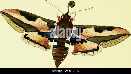 Archive image from page 95 of The natural history of British