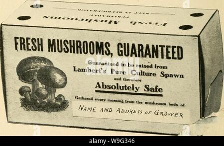 Archive image from page 99 of The cultivated mushroom  (1913) Stock Photo