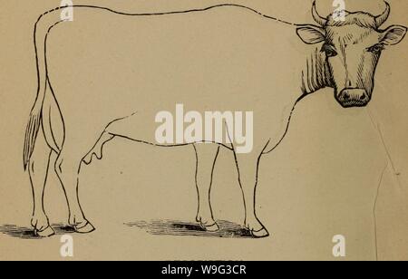 Archive image from page 101 of Cunningham's device for stockmen and