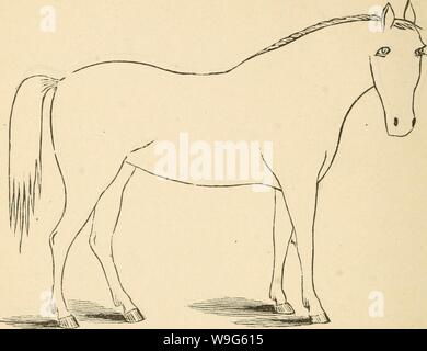 Archive image from page 119 of Cunningham's device for stockmen and. Cunningham's device for stockmen and farmers  cunninghamsdevic00cunn Year: 1882 ( DESCRIPTION Color Marks Height Stock Photo