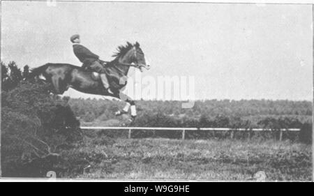 Archive image from page 151 of Points of the horse; a Stock Photo
