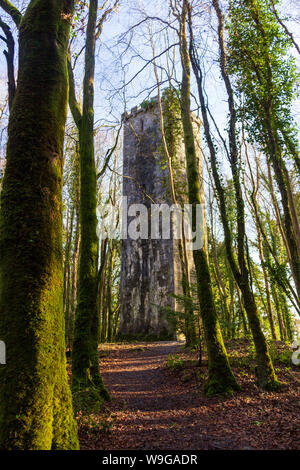 Located in the forrest near Ashford Castle, Cong, County Mayo, Ireland, the Guinness Tower is hidden amongst the trees. Stock Photo