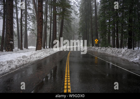 Wet Road in Snowy Forest at beginning of winter storm Stock Photo