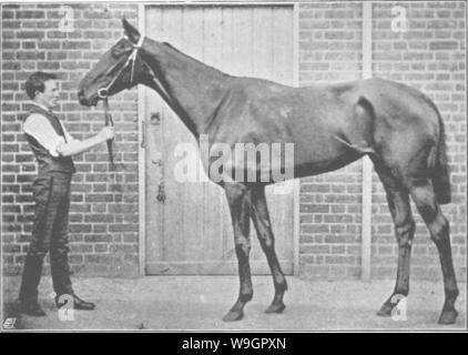 Archive image from page 319 of Points of the horse; a Stock Photo