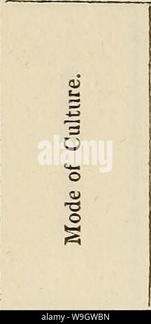 Archive image from page 369 of Culture and manufacture of cotton Stock Photo