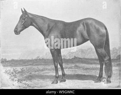 Archive image from page 376 of Points of the horse; a Stock Photo