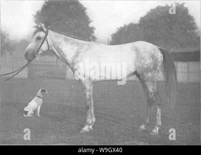 Archive image from page 385 of Points of the horse; a Stock Photo