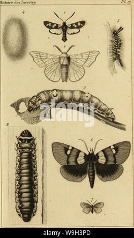 Archive image from page 540 of Histoire des insectes, traitant de Stock Photo