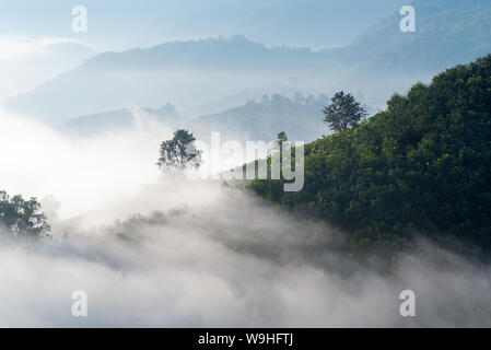 View of amazing mist moving over the nature mountains during sunrise at mountains area in Thailand. Stock Photo
