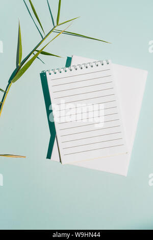 blank notebook with lines, and delicate green leaves that project the shadow of the direct sun. Soft blue background. Stock Photo