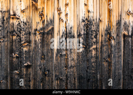 Wodden pattern of classic wood plank wall texture background. Retro decoration material for classical building Stock Photo