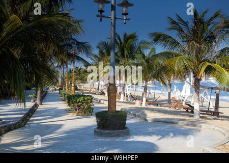 Beach promenade with palms at TTC Resort, South China Sea,Phan Rang, Ninh Thuan,Vietnam, Asia, 30074577 Stock Photo