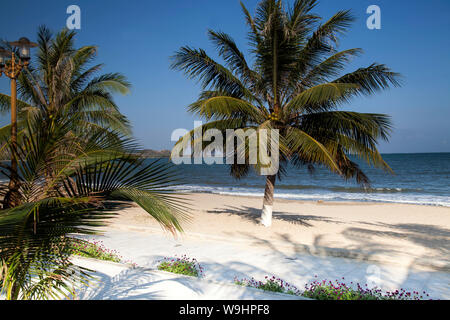 Beach with palms at TTC Resort, South China Sea, Ninh Thuan,Vietnam, Asia, 30074575 Stock Photo