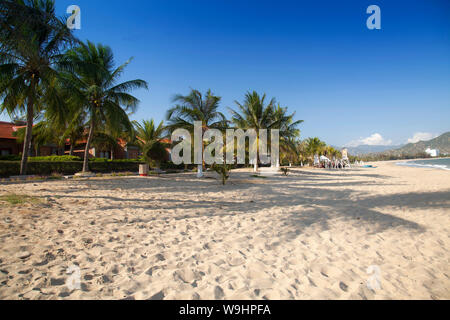 Beach with palms at TTC Resort, South China Sea, Ninh Thuan,Vietnam, Asia, 30074573 Stock Photo