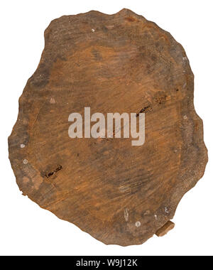 Sawn tree trunk. Presented on a white background. The view from the top. Stock Photo