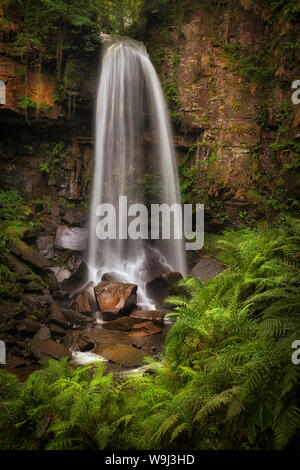 Waterfall and ferns at Melincourt Stock Photo