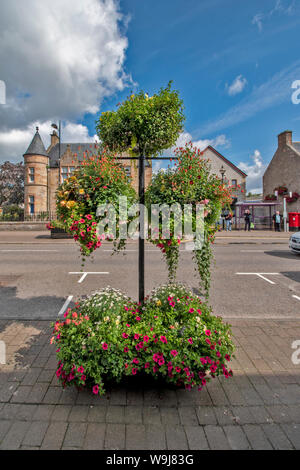 ALNESS ROSS AND CROMARTY SCOTLAND VILLAGE TOWN IN BLOOM SUPERB DISPLAY OF FLOWERS IN HANGING BASKETS AND CONTAINER Stock Photo