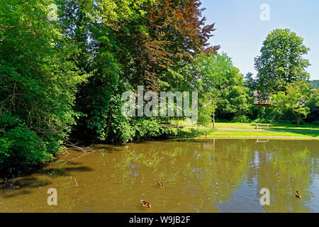 Elzpark, Landesgartenschaugelände, See, Enten Stock Photo