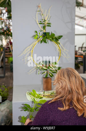 https://l450v.alamy.com/450v/w9jbr7/contemporary-floral-art-plant-minimal-plants-design-rikka-style-ikebana-still-life-composition-competitive-cut-flower-arrangements-eccentric-flowers-in-multicoloured-pots-peculiar-elements-abstract-exhibits-zen-at-the-28th-southport-flower-show-showground-victoria-park-2011-southport-merseyside-uk-w9jbr7.jpg