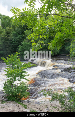 Aysgarth Falls, River Ure, Yorkshire Dales, England.  Famous for being featured in the film Robin Hood: Prince of Thieves, starring Kevin Costner. Stock Photo