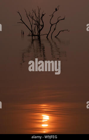 Golden African Sun set over Lake Kariba, Zimbabwe Stock Photo