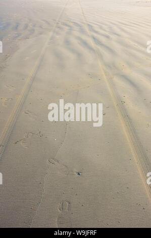Tyre tracks on the sand at a beach. Stock Photo