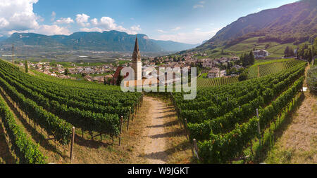 View at a village and its vineyards, Tramin an der Weinstrasse - Termeno sulla strada del vino,   , Südtirol - Alto Adige, Italy, 30071329 *** Local C Stock Photo