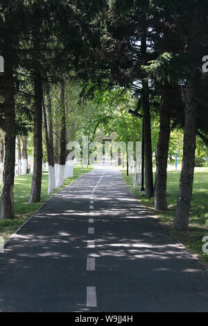 Summer alley in the city. City landscape. Stock Photo