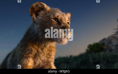 The Lion King is a 2019 American computer-animated musical film directed and produced by Jon Favreau, written by Jeff Nathanson, and produced by Walt Disney Pictures.   This photograph is supplied for editorial use only and is the copyright of the film company and/or the designated photographer assigned by the film or production company. Stock Photo