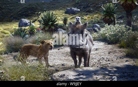 The Lion King is a 2019 American computer-animated musical film directed and produced by Jon Favreau, written by Jeff Nathanson, and produced by Walt Disney Pictures.   This photograph is supplied for editorial use only and is the copyright of the film company and/or the designated photographer assigned by the film or production company. Stock Photo