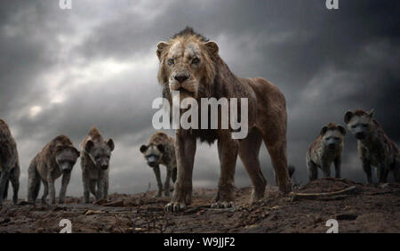 The Lion King is a 2019 American computer-animated musical film directed and produced by Jon Favreau, written by Jeff Nathanson, and produced by Walt Disney Pictures.   This photograph is supplied for editorial use only and is the copyright of the film company and/or the designated photographer assigned by the film or production company. Stock Photo