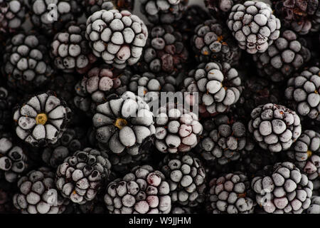 Bunch of delicious frozen blackberries close up Stock Photo