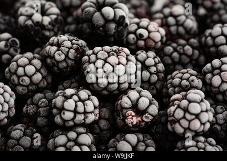 Bunch of delicious frozen blackberries close up Stock Photo