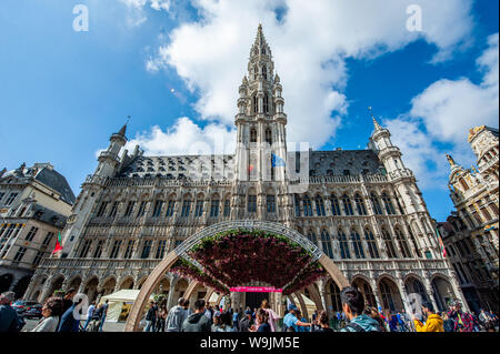 An exterior view of the city hall decorated with a flower arch composed of 500 fuchsias during the event.Flower time is a biennial initiative that was launched in 2013 by the City of Brussels and the ASBL (non-profit organization) Tapis de Fleurs de Bruxelles. Under the theme 'A World of Floral Emotions', more than 30 top florists from 13 countries decorated the magnificent rooms of Brussels City Hall, a Unesco masterpiece of Gothic architecture. Brussels’ famous Grand Place hosted for the occasion a stunning flower arch composed of 500 fuchsias. This year, the artistic direction is once again Stock Photo