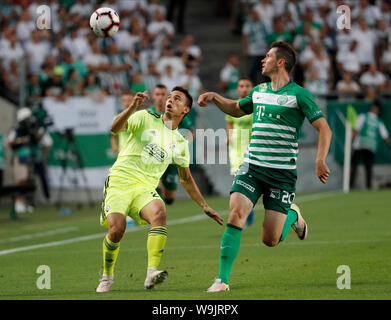 BUDAPEST, HUNGARY - AUGUST 13: (l-r) Tokmac Chol Nguen of Ferencvarosi TC  wins the ball from Arijan Ademi of GNK Dinamo Zagreb during the UEFA  Champions League Third Qualifying Round match between