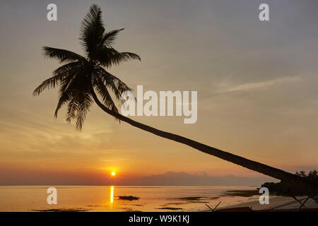 A sunset silhouette of a coconut palm at Paliton beach, Siquijor, Philippines, Southeast Asia, Asia Stock Photo