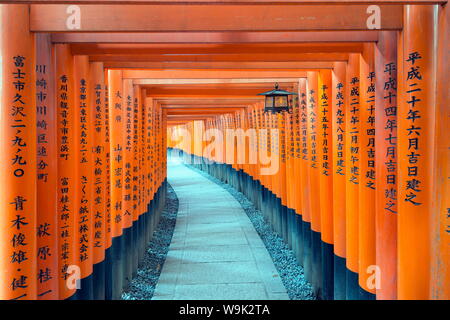 Torii gate at Fushimi Inari Jinja, Shinto shrine, UNESCO World Heritage Site, Kyoto, Honshu, Japan, Asia Stock Photo