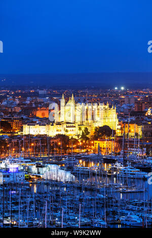 La Seu Cathedral, Palma de Mallorca, Majorca, Balearic Islands, Spain, Mediterranean, Europe Stock Photo