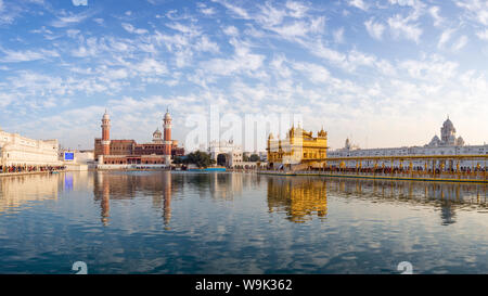 The Golden Temple (Harmandir Sahib) and Amrit Sarovar (Pool of Nectar) (Lake of Nectar), Amritsar, Punjab, India, Asia Stock Photo