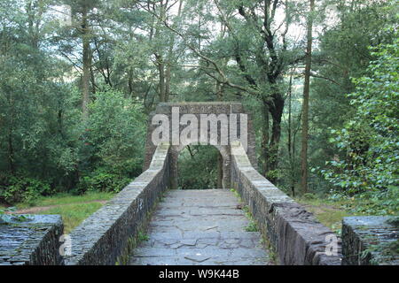 Image of an old stone pathway with an archway in front of a woodland in Rivington Pike Stock Photo