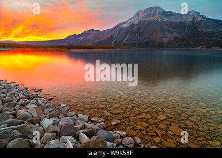 Sunrise at Driftwood Beach with Vimy Peak in the background, Waterton Lakes National Park, Alberta, Canada, North America Stock Photo
