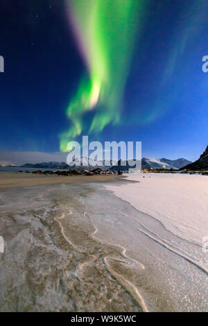 The Northern Lights (aurora borealis) light up the sky and the beach of the cold sea of Gymsoyand (Gimsoy), Lofoten Islands, Arctic, Norway Stock Photo