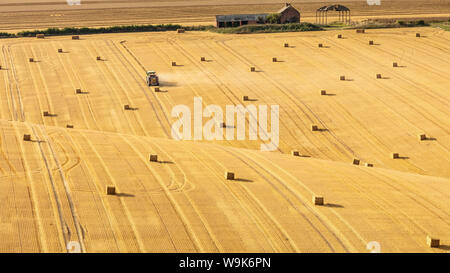 Hay bales on rolling chalk fields near the village of Fridaythorpe, on the East Yorkshire Wolds, Yorkshire, England, United Kingdom, Europe Stock Photo