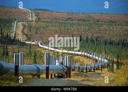 The Trans Alaska Oil Pipeline running on refrigerated support to stop oil heat melting the permafrost, Alaska, United States of America, North America Stock Photo