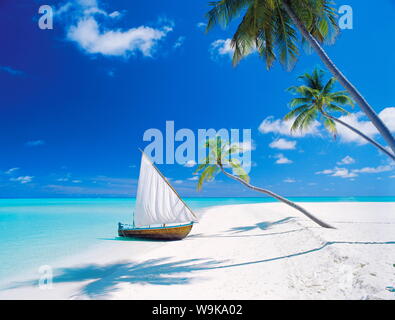 Dhoni (traditional boat) moored by empty beach, Maldives, Indian Ocean, Asia Stock Photo