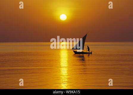 Traditional dhoni sailing at sunset, Maldives, Indian Ocean, Asia Stock Photo