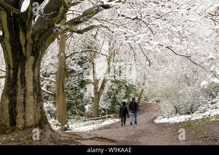 Hampstead Heath in the snow, London, England, United Kingdom, Europe Stock Photo