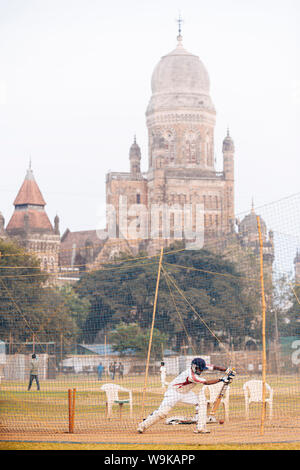 Cricket at Azad Maidan, Mumbai (Bombay), India, South Asia Stock Photo