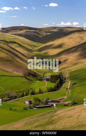 Landscape views in Spring in Upper Coquetdale near Shilmoor, Northumberland National Park, Northumberland, England, United Kingdom Stock Photo