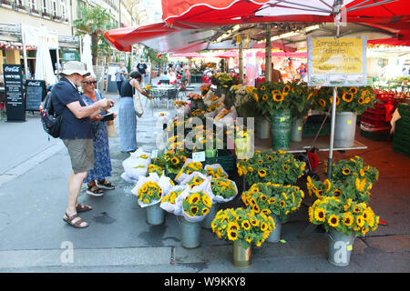 Bern, Switzerland - July 23, 2019: Visitors looking at, and photographing  sunflowers at the marketplace in Bern near the street Bärenplatz Stock Photo